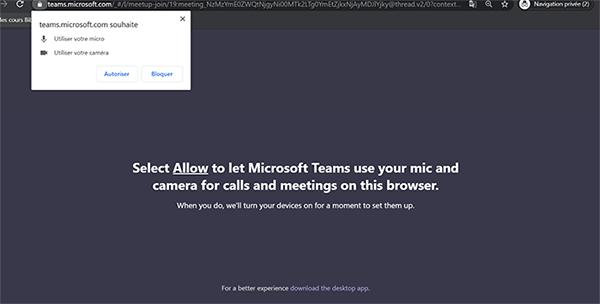 Microsoft Teams meeting: